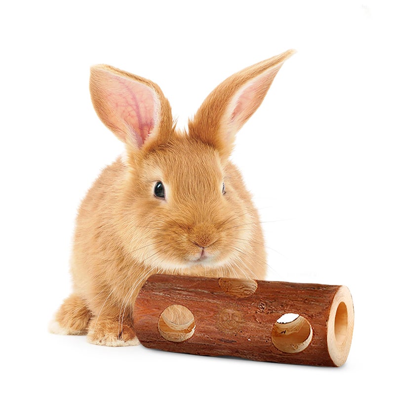 SunGrow Rabbit Log Chew, 8 Inches, Fresh Lumber Contemporary Textured Design 2-in-1 Hay Feeder and Molar Bunny Log Chew Teeth Care Toy, for Chinchilla, Hamster, Guinea Pig, Gerbils, Small Animals - Image 1